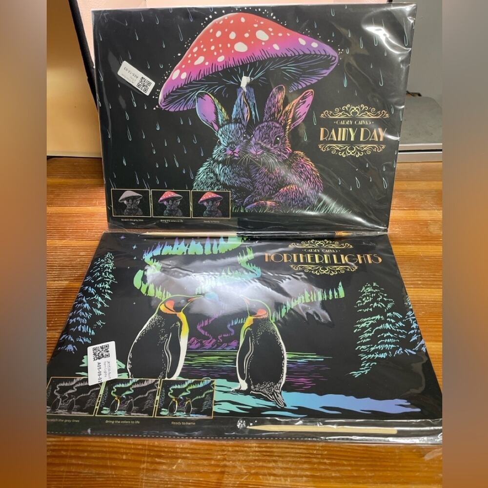 Gatsby Canvas Scratch Art Kit Set Rainy Day Northern Lights 2pc NWT